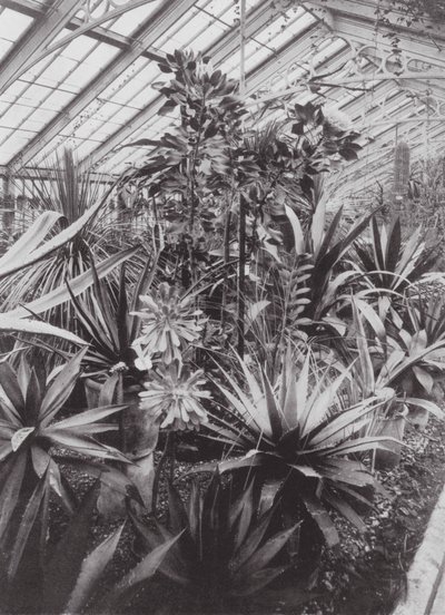 Kew Gardens, ca. 1900 door E. J. Wallis
