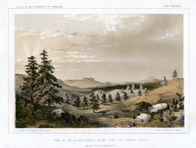 Het Zwarte Woud Mount Hope en Sierra Prieta, VS door E Stout