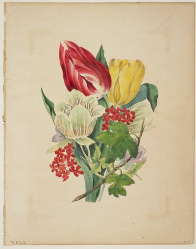 Boeket tulpen, uit Flora