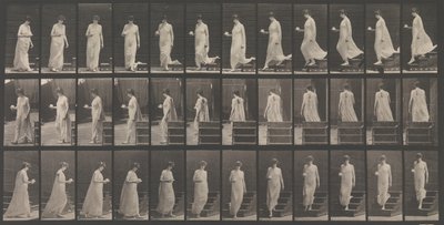 Dierlocomotie. Een elektro-fotografisch onderzoek... van dierbewegingen door Eadweard Muybridge