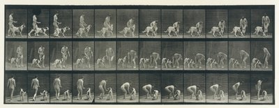 Dierlijke voortbeweging. Een elektro-fotografisch onderzoek naar opeenvolgende fasen van dieren door Eadweard Muybridge