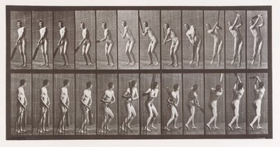Dierlocomotie. Een elektro-fotografisch onderzoek naar opeenvolgende fasen van dier..., 1880s door Eadweard Muybridge