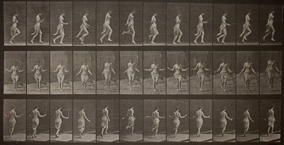 Dierenlocomotie, Plaat 174, 1887 door Eadweard Muybridge