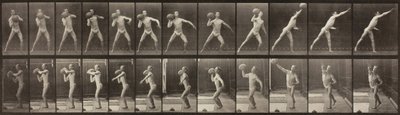 Dierenbeweging, Plaat 319, 1887 door Eadweard Muybridge