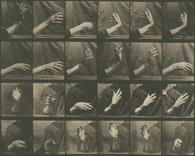 Dierlijke Voortbeweging, Plaat 535 door Eadweard Muybridge
