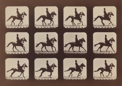 Houdingen van dieren in beweging door Eadweard Muybridge