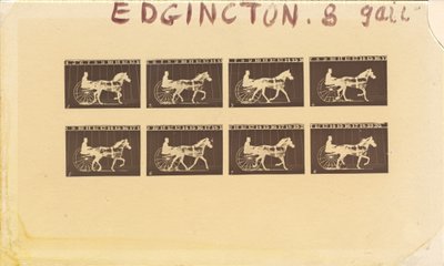 Internegatief voor paarden. Draven. Abe Edgington. Nr. 28, 1878 door Eadweard Muybridge