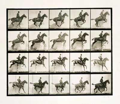 Man en paard springen over een hek, 1887 door Eadweard Muybridge