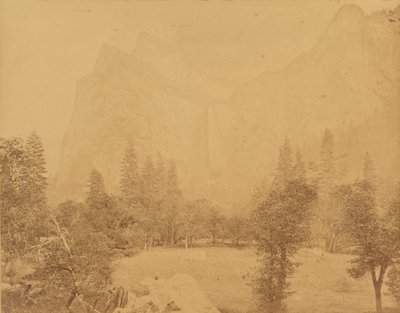 Pohona. Vallei van de Yosemite. door Eadweard J. Muybridge