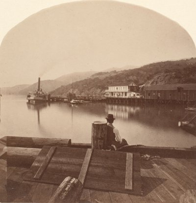 Sausalito vanaf de N.P.C.R.R. pier, kijkend naar het zuiden door Eadweard Muybridge
