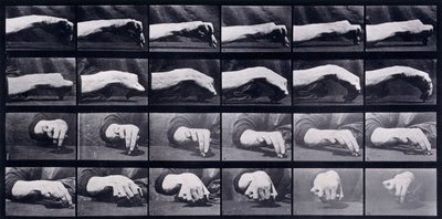 Een bewegingsstudie van een hand, ca. 1872-1885 door Eadweard Muybridge