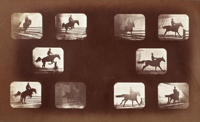 Dierlijke voortbeweging (man te paard over hindernissen) door Eadweard Muybridge