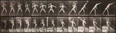Voortbeweging van dieren (plaat 319) (Man die een bal gooit) door Eadweard Muybridge