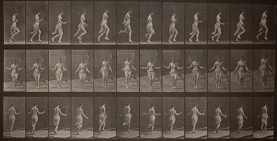 Voortbeweging van dieren, plaat 174 door Eadweard Muybridge