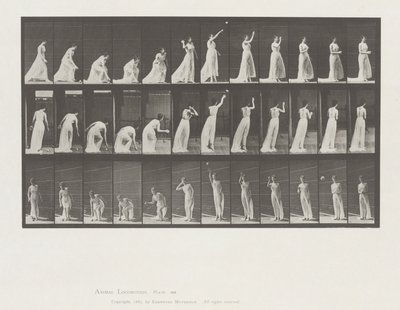 Dierenlocomotie, Plaat 305 door Eadweard Muybridge
