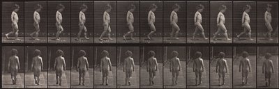 Animal Locomotion, Plaat 467 door Eadweard Muybridge
