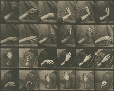 Voortbeweging van dieren, plaat 535 door Eadweard Muybridge