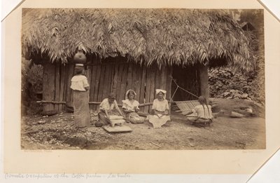 Huishoudelijke bezigheden van de koffieplukkers, Las Nubes, Guatemala door Eadweard Muybridge