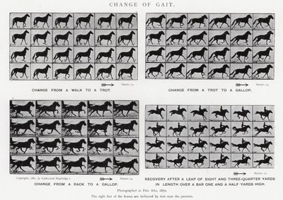 Verandering van Gang door Eadweard Muybridge