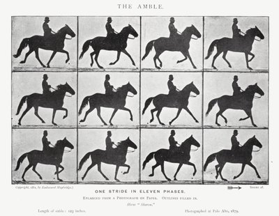 Eadweard Muybridge: De draf door Eadweard Muybridge