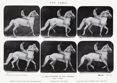 De draf door Eadweard Muybridge