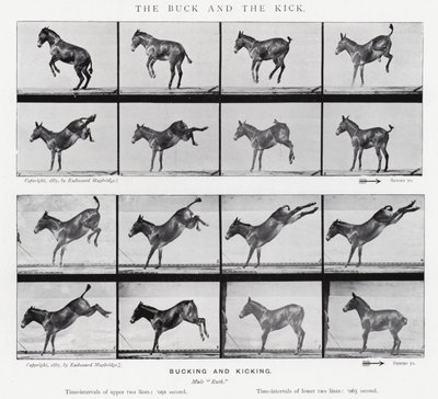 Eadweard Muybridge: De bok en de schop (zwart-wit foto) door Eadweard Muybridge