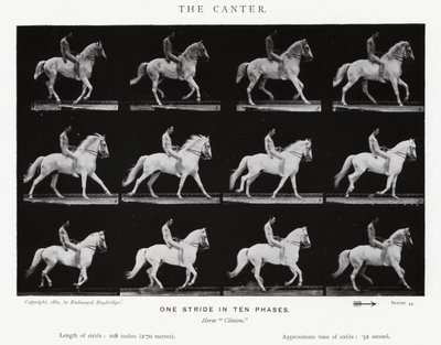 Eadweard Muybridge: De galop (zw/w foto) door Eadweard Muybridge