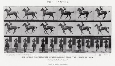 Eadweard Muybridge: De galop door Eadweard Muybridge