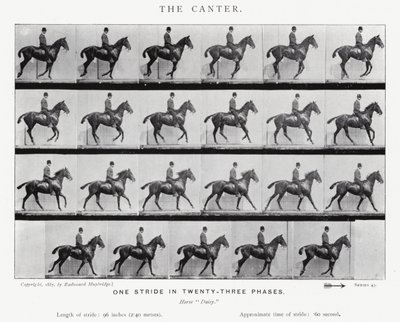 De canter door Eadweard Muybridge
