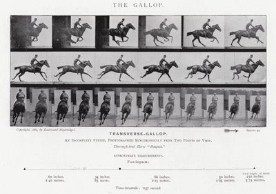 Eadweard Muybridge: De galop (zwart-wit foto) door Eadweard Muybridge