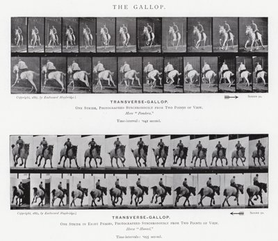 De Galop door Eadweard Muybridge