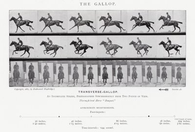 Eadweard Muybridge: De Galop door Eadweard Muybridge
