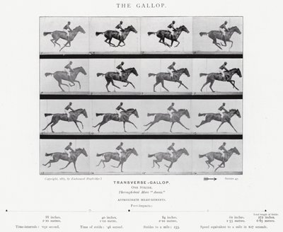 Eadweard Muybridge: De Galop door Eadweard Muybridge