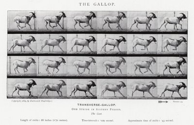 Eadweard Muybridge: De galop door Eadweard Muybridge
