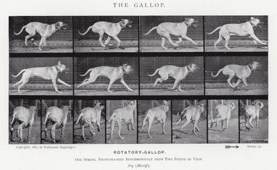 Eadweard Muybridge: De galop door Eadweard Muybridge