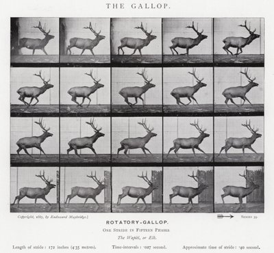 Eadweard Muybridge: De galop door Eadweard Muybridge