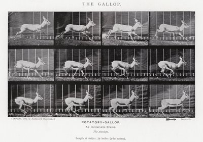 Eadweard Muybridge: De galop door Eadweard Muybridge