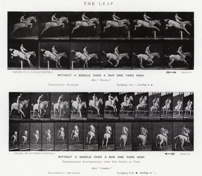 Eadweard Muybridge: De sprong (zwart-wit foto) door Eadweard Muybridge