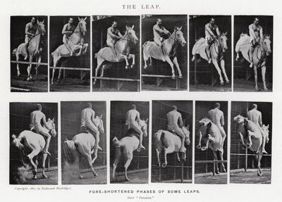Eadweard Muybridge: De sprong (zw/w foto) door Eadweard Muybridge