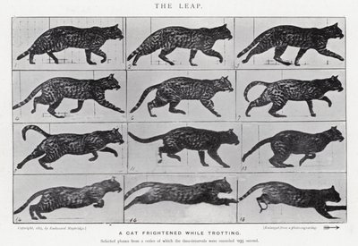 Eadweard Muybridge: De Sprong door Eadweard Muybridge