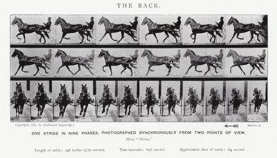 De Galop door Eadweard Muybridge