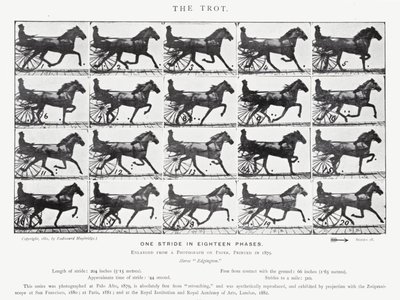 De Trot door Eadweard Muybridge