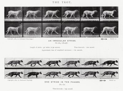 De Trot door Eadweard Muybridge