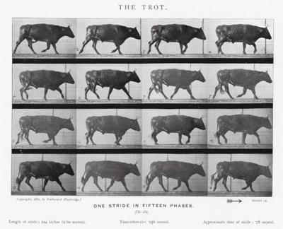 Eadweard Muybridge: De draf (zw/w foto) door Eadweard Muybridge
