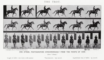 Eadweard Muybridge: De draf door Eadweard Muybridge