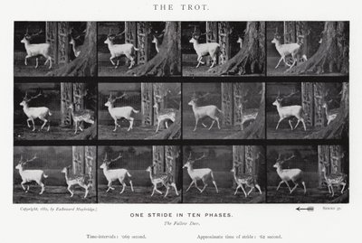 Eadweard Muybridge: De draf door Eadweard Muybridge