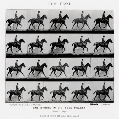 De galop door Eadweard Muybridge