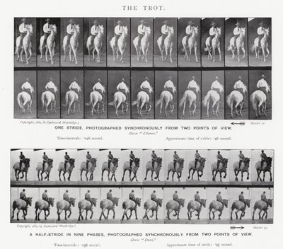 De galop door Eadweard Muybridge