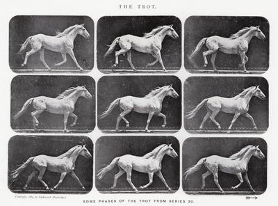 De galop door Eadweard Muybridge