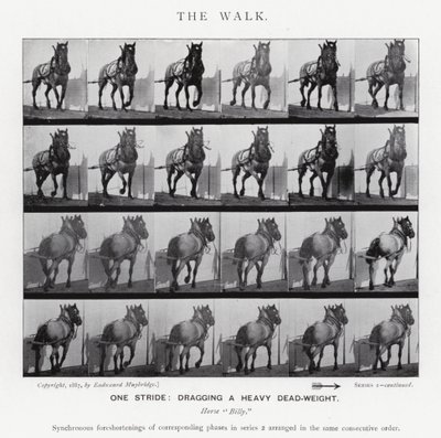 Eadweard Muybridge: De wandeling (zwart-wit foto) door Eadweard Muybridge